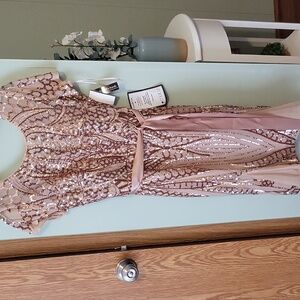 R & M Richards Rose Gold Sequin Embellished Dress